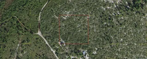 Holopaw Groves Road St Cloud FL 34773