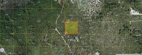 Holopaw Groves Road St Cloud FL 34773