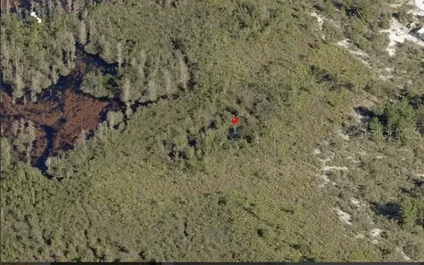 Holopaw Groves Road St Cloud FL 34773