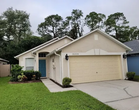 30228 Birdhouse Drive Wesley Chapel FL 33545
