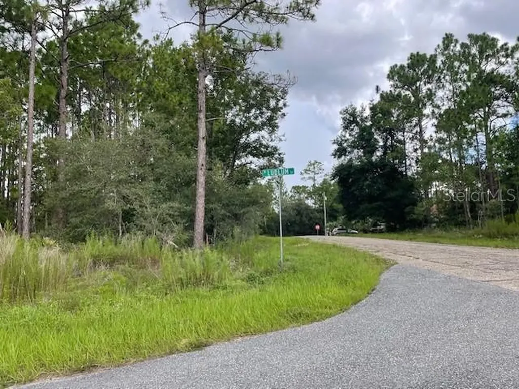 932 W Ludlum Street Dunnellon FL 34434