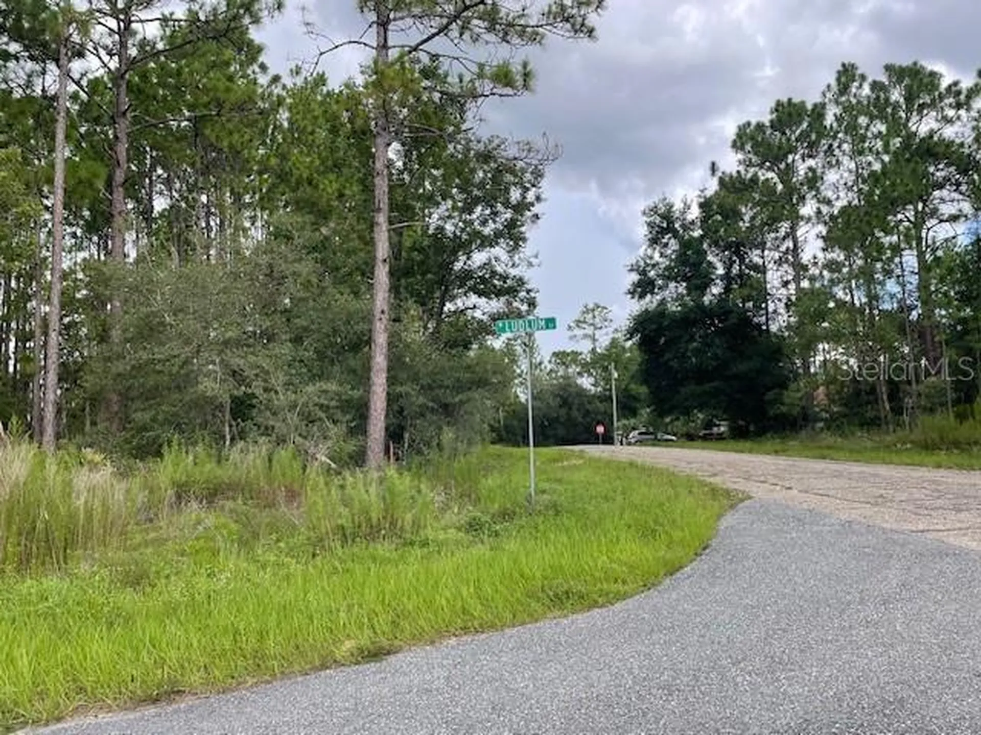932 W Ludlum Street Dunnellon FL 34434
