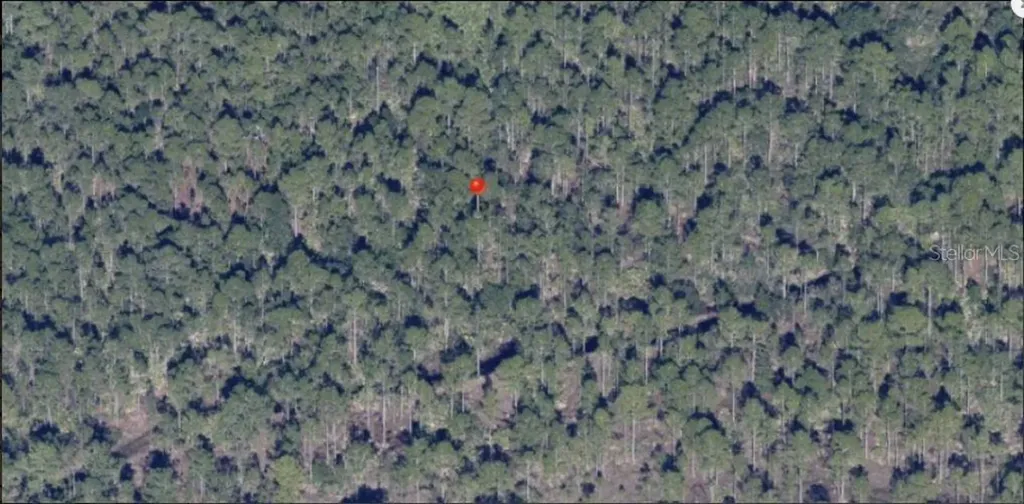 Holopaw Groves Road St Cloud FL 34773