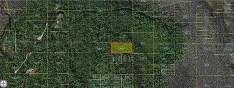 Holopaw Groves Road St Cloud FL 34773
