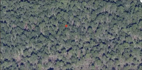 Holopaw Groves Road St Cloud FL 34773