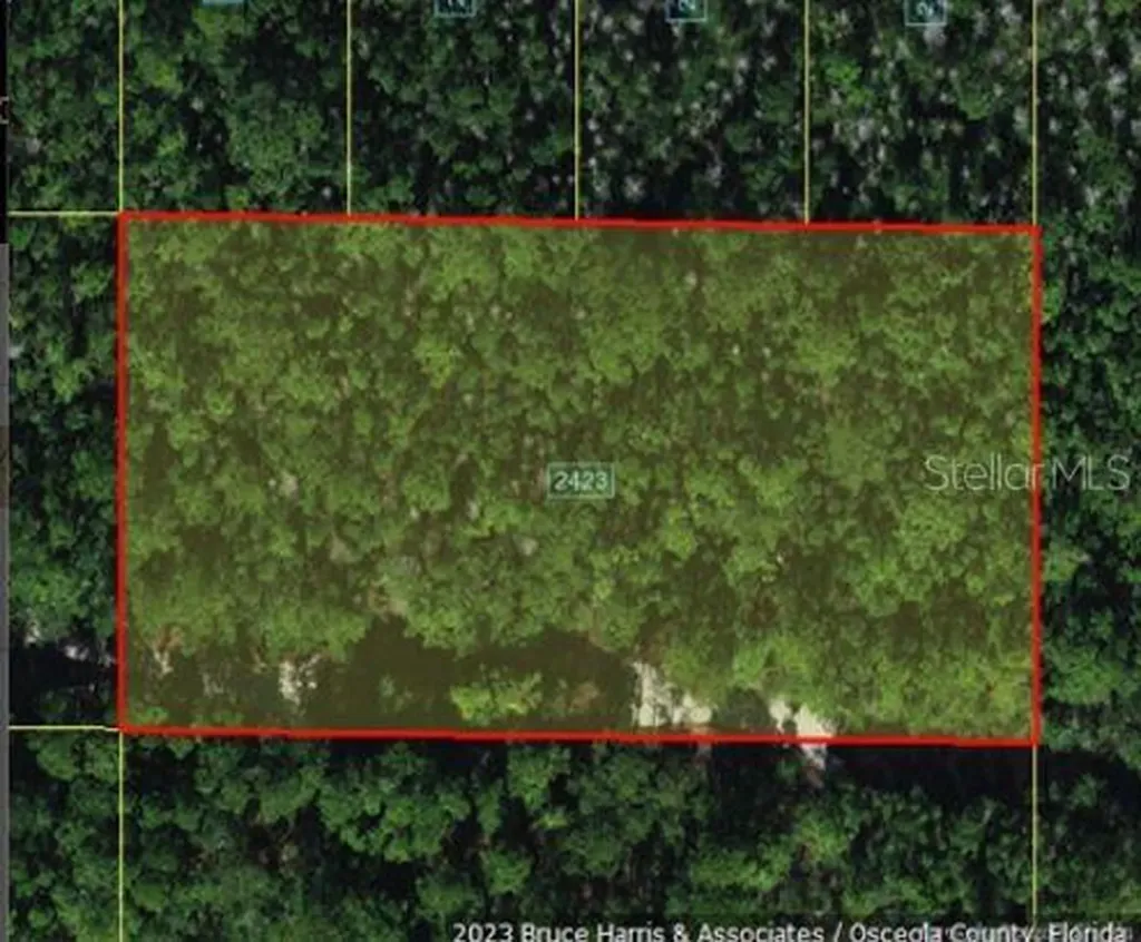 Holopaw Groves Road St Cloud FL 34773