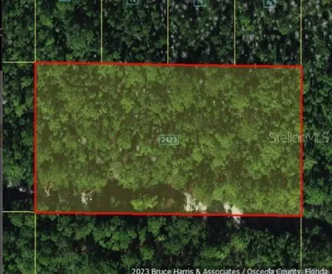Holopaw Groves Road St Cloud FL 34773