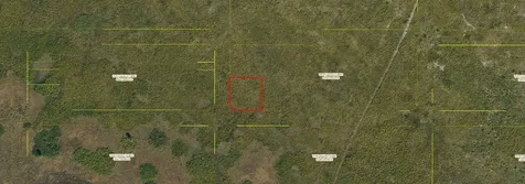 Palmetto Avenue Kenansville FL 34739