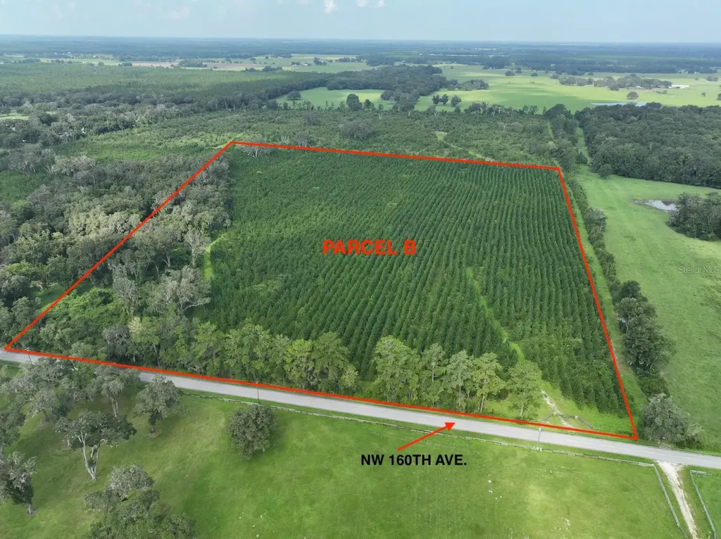 Parcel B NW 160th Avenue Morriston FL 32668