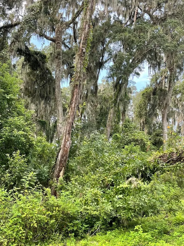 Parcel B NW 160th Avenue Morriston FL 32668