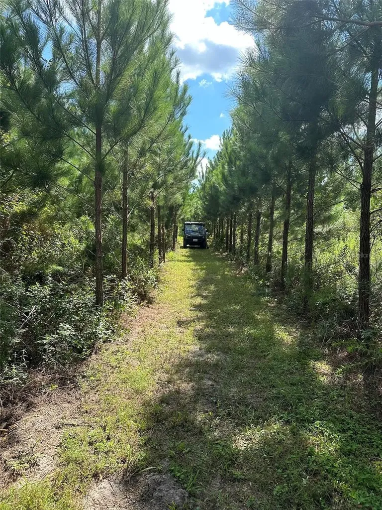 Parcel B NW 160th Avenue Morriston FL 32668
