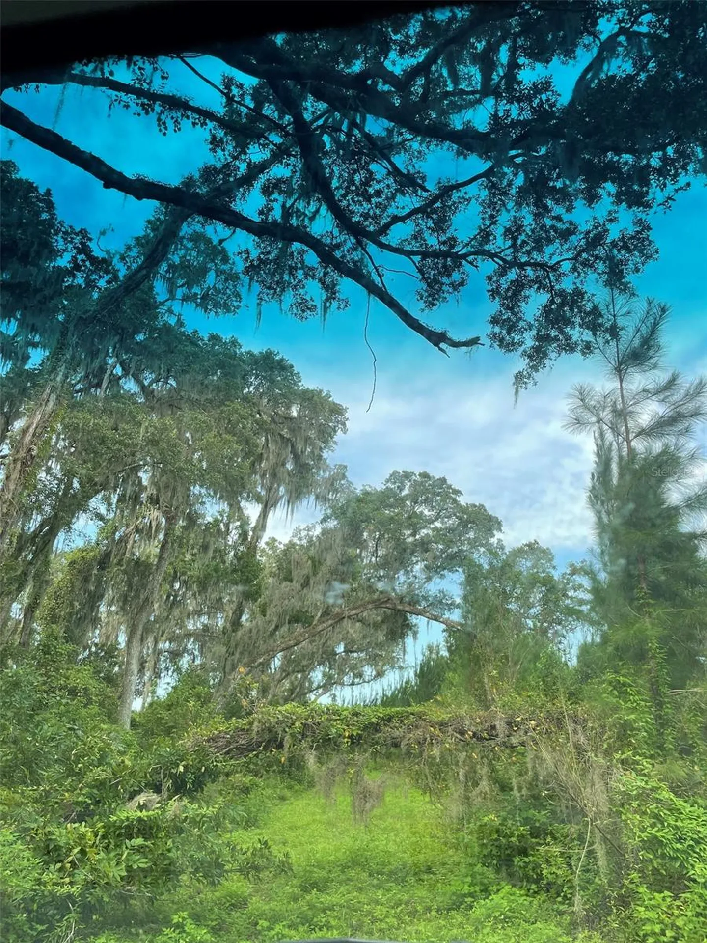 Parcel B NW 160th Avenue Morriston FL 32668