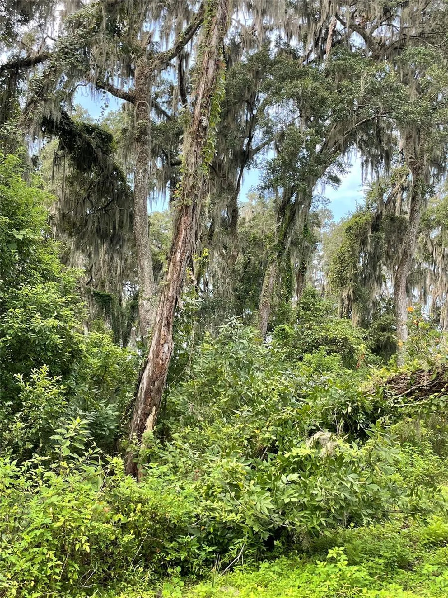 Parcel B NW 160th Avenue Morriston FL 32668