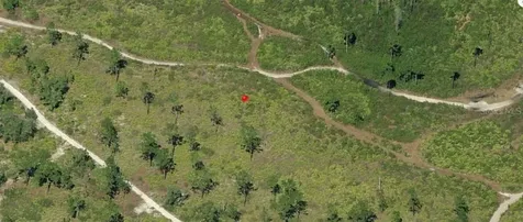 Holopaw Groves Road St Cloud FL 34773