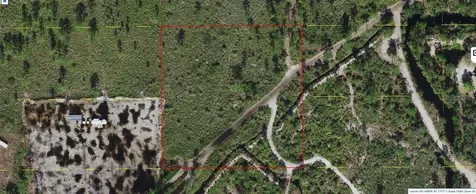 Holopaw Groves Road St Cloud FL 34773