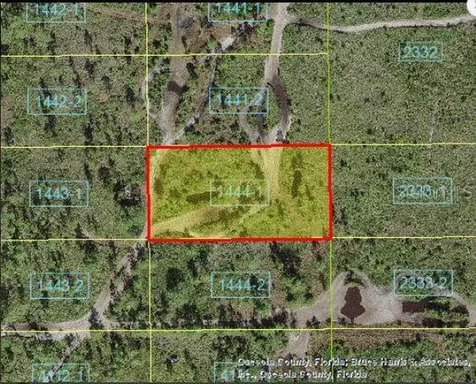 Holopaw Groves Road St Cloud FL 34773