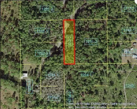 Holopaw Groves Road St Cloud FL 34773