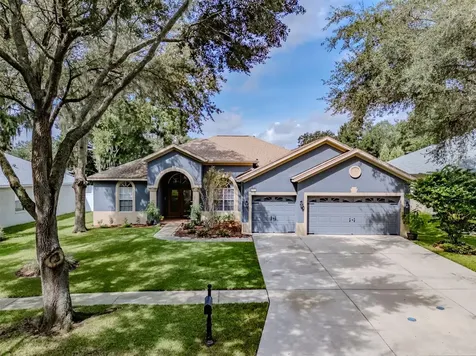 3311 Eastmonte Drive Valrico FL 33596