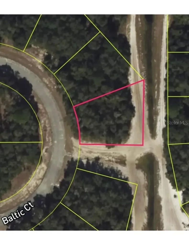 419 Baltic Court Kissimmee FL 34759