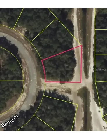 419 Baltic Court Kissimmee FL 34759