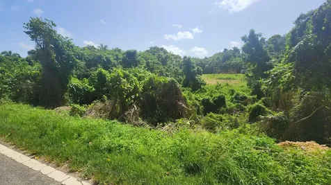 Guerrero Isabela PR 00662