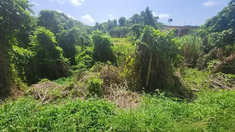 Guerrero Isabela PR 00662
