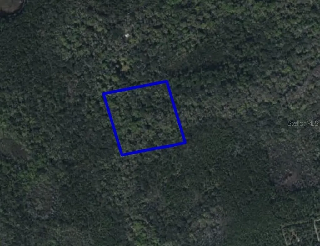095 Pine Needle Road Mims FL 32754