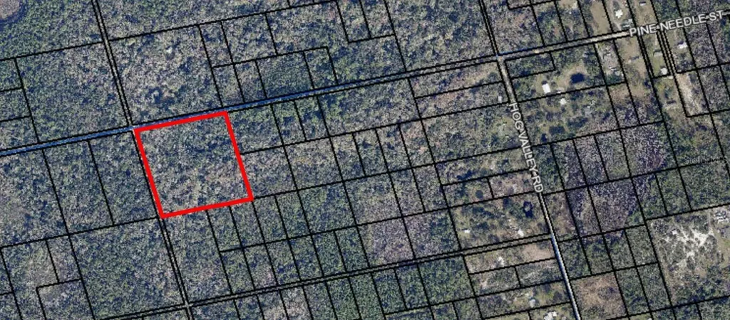 095 Pine Needle Road Mims FL 32754