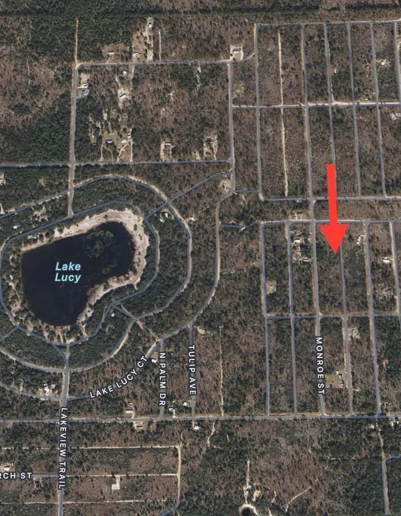 Lots 39-44 17th Street Interlachen FL 32148