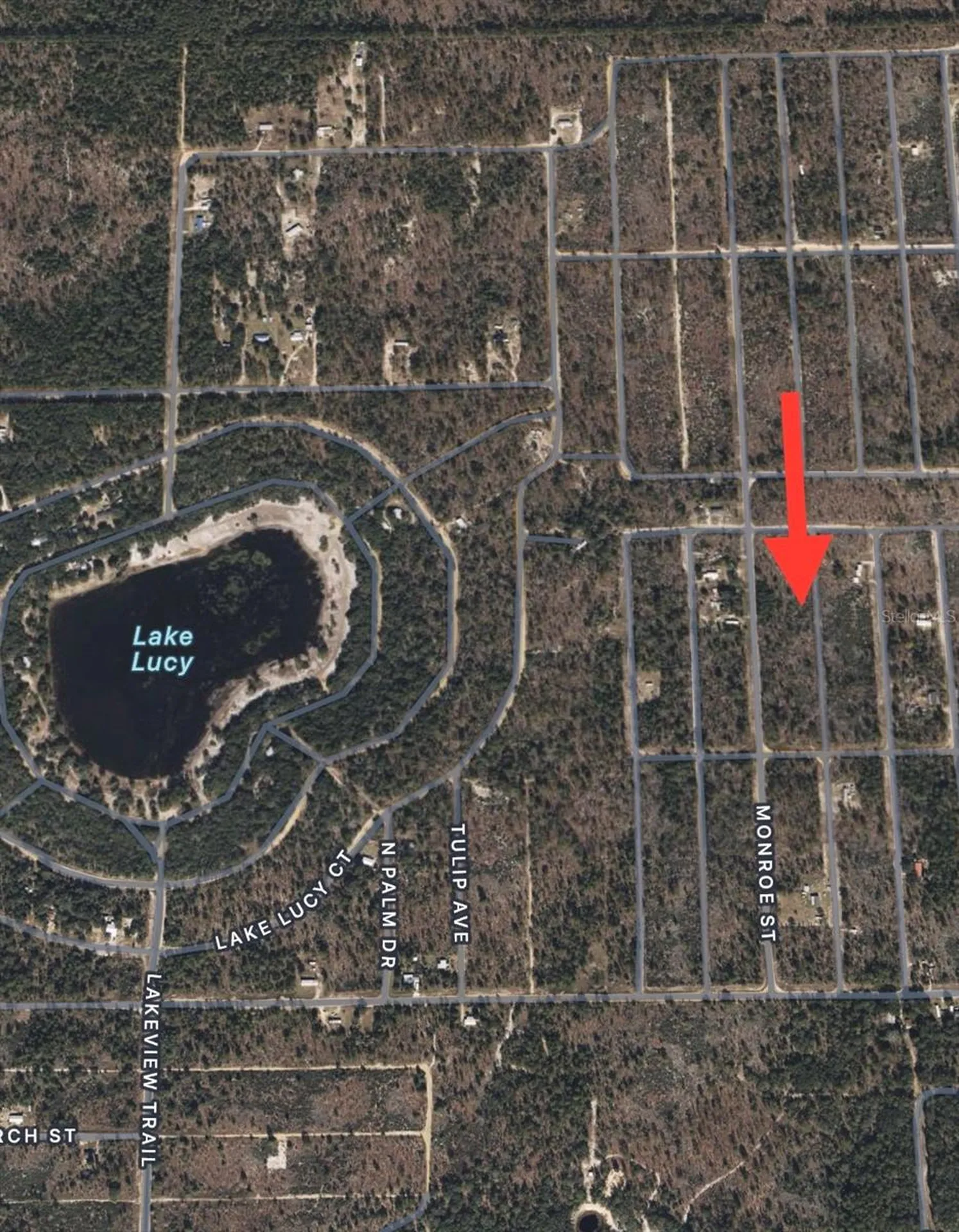 Lots 39-44 17th Street Interlachen FL 32148