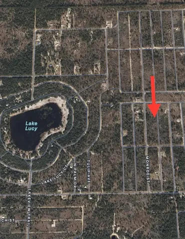 Lots 39-44 17th Street Interlachen FL 32148