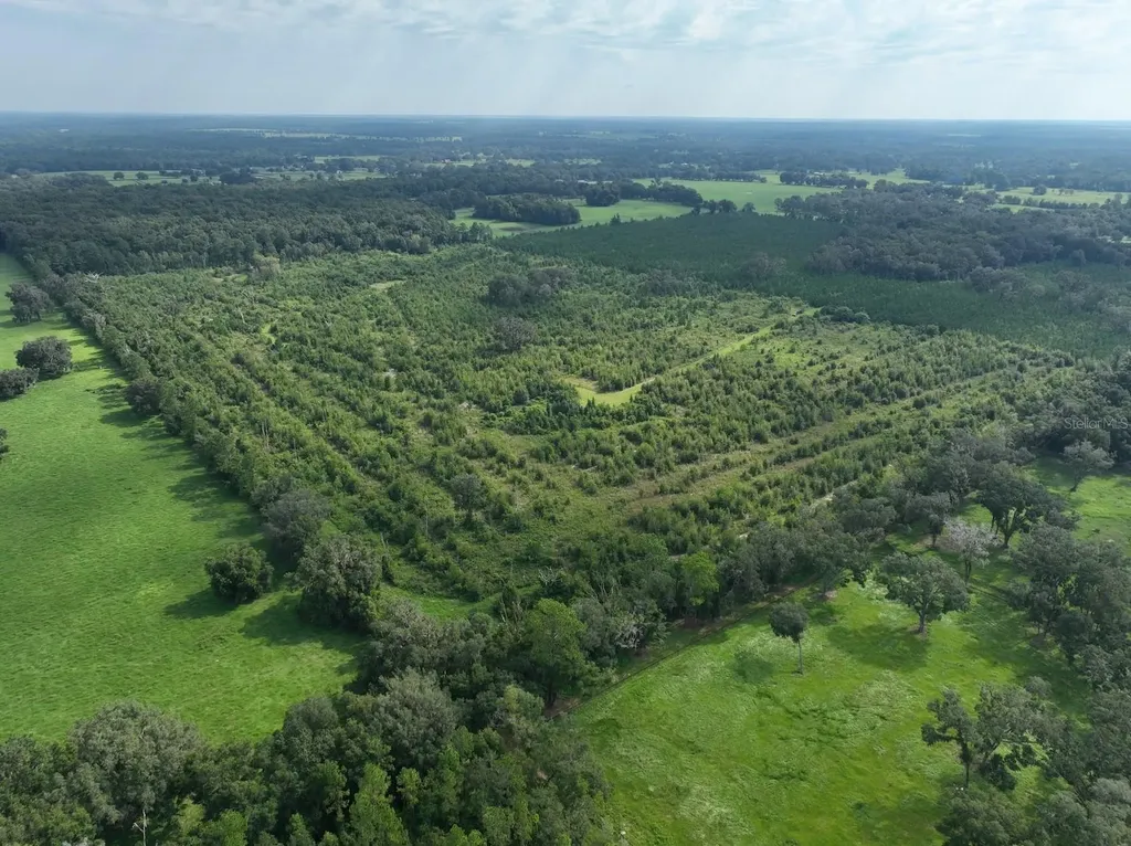 Parcel C NW 160th Avenue Morriston FL 32668