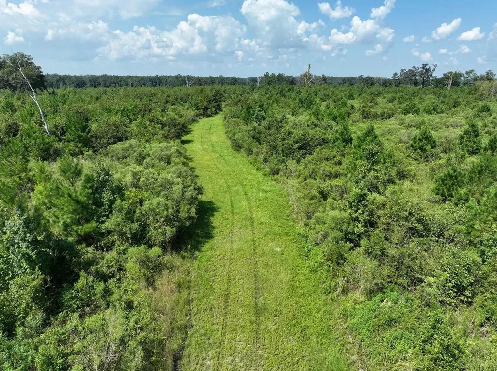 Parcel C NW 160th Avenue Morriston FL 32668