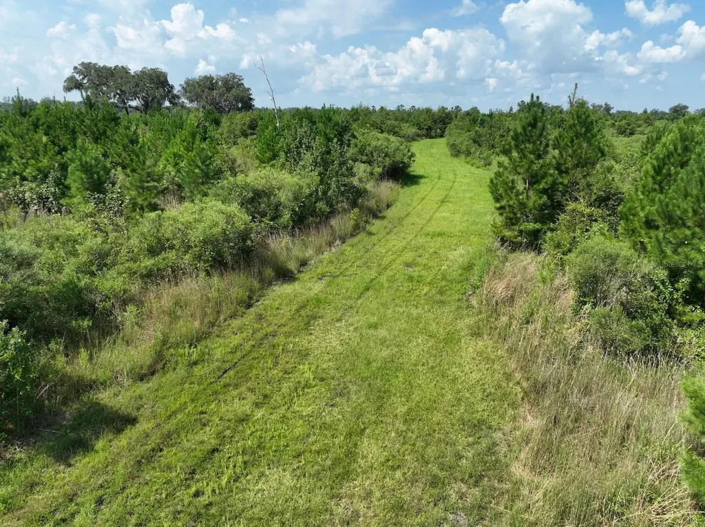 Parcel C NW 160th Avenue Morriston FL 32668