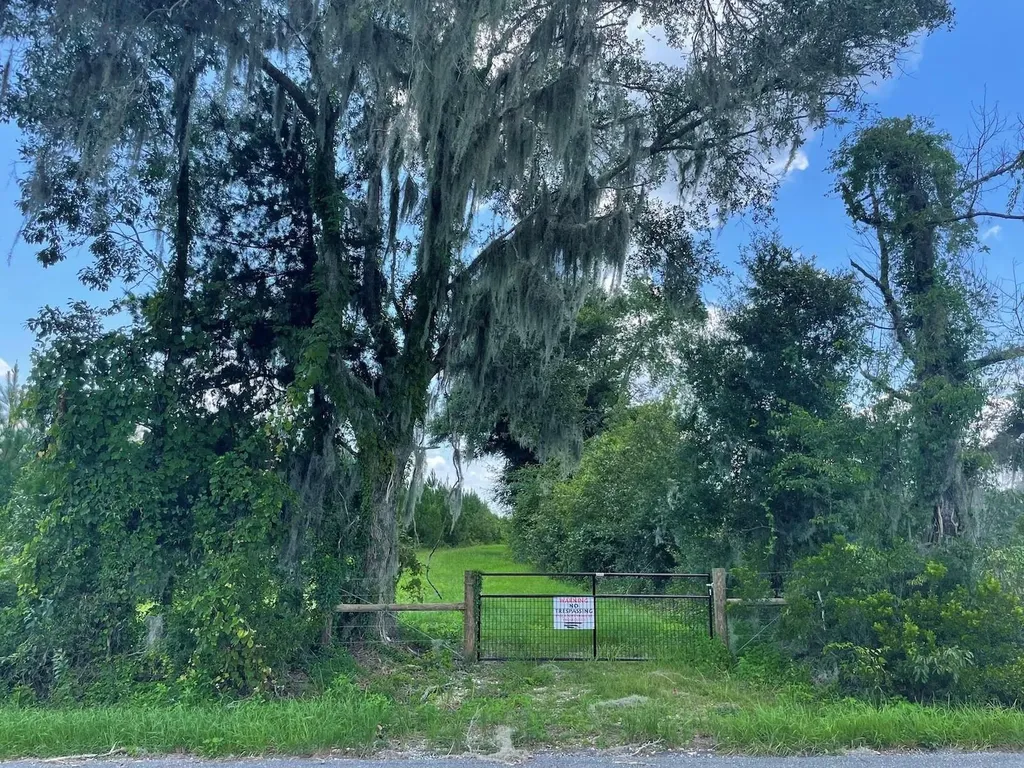 Parcel C NW 160th Avenue Morriston FL 32668