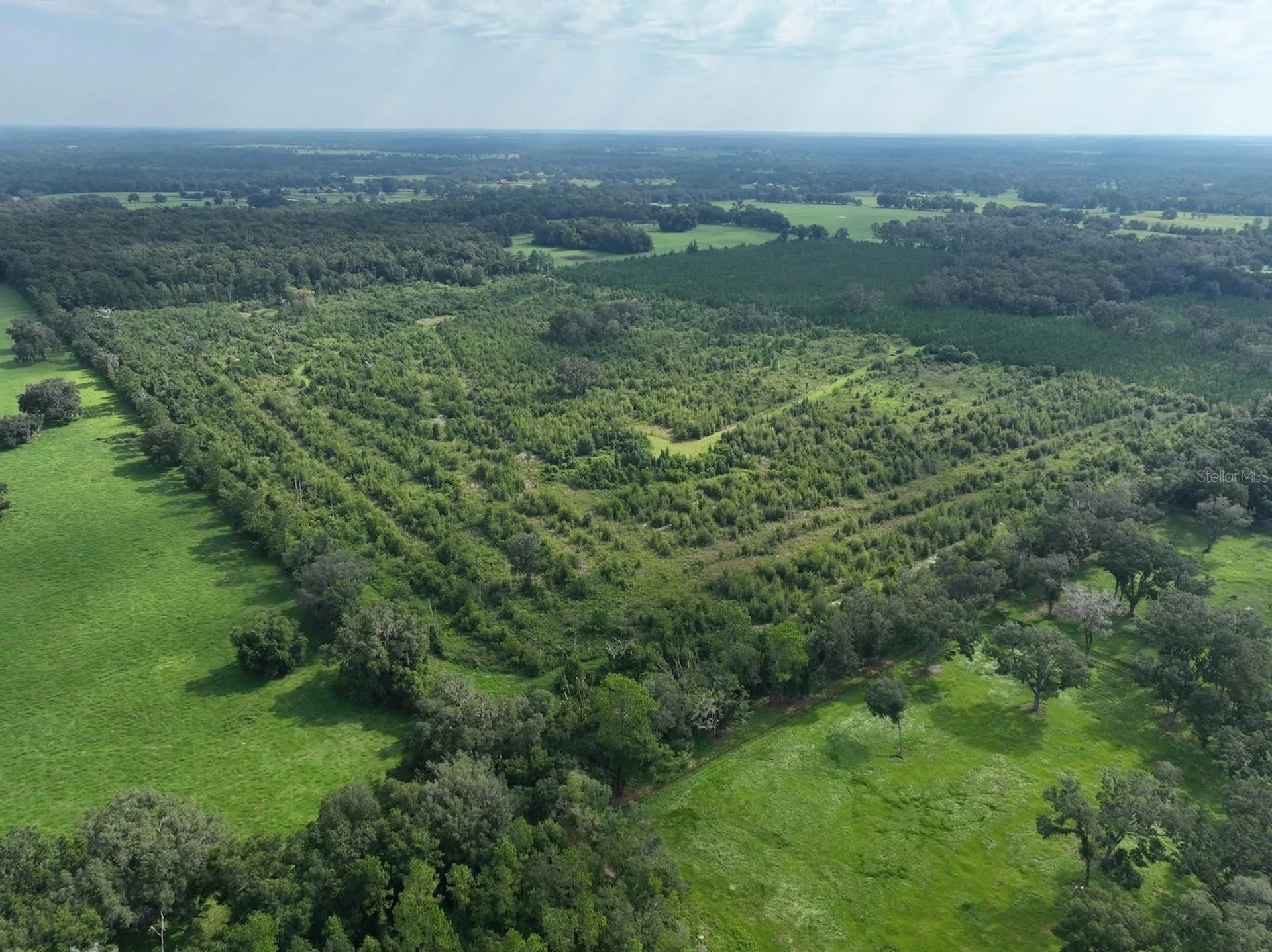 Parcel C NW 160th Avenue Morriston FL 32668