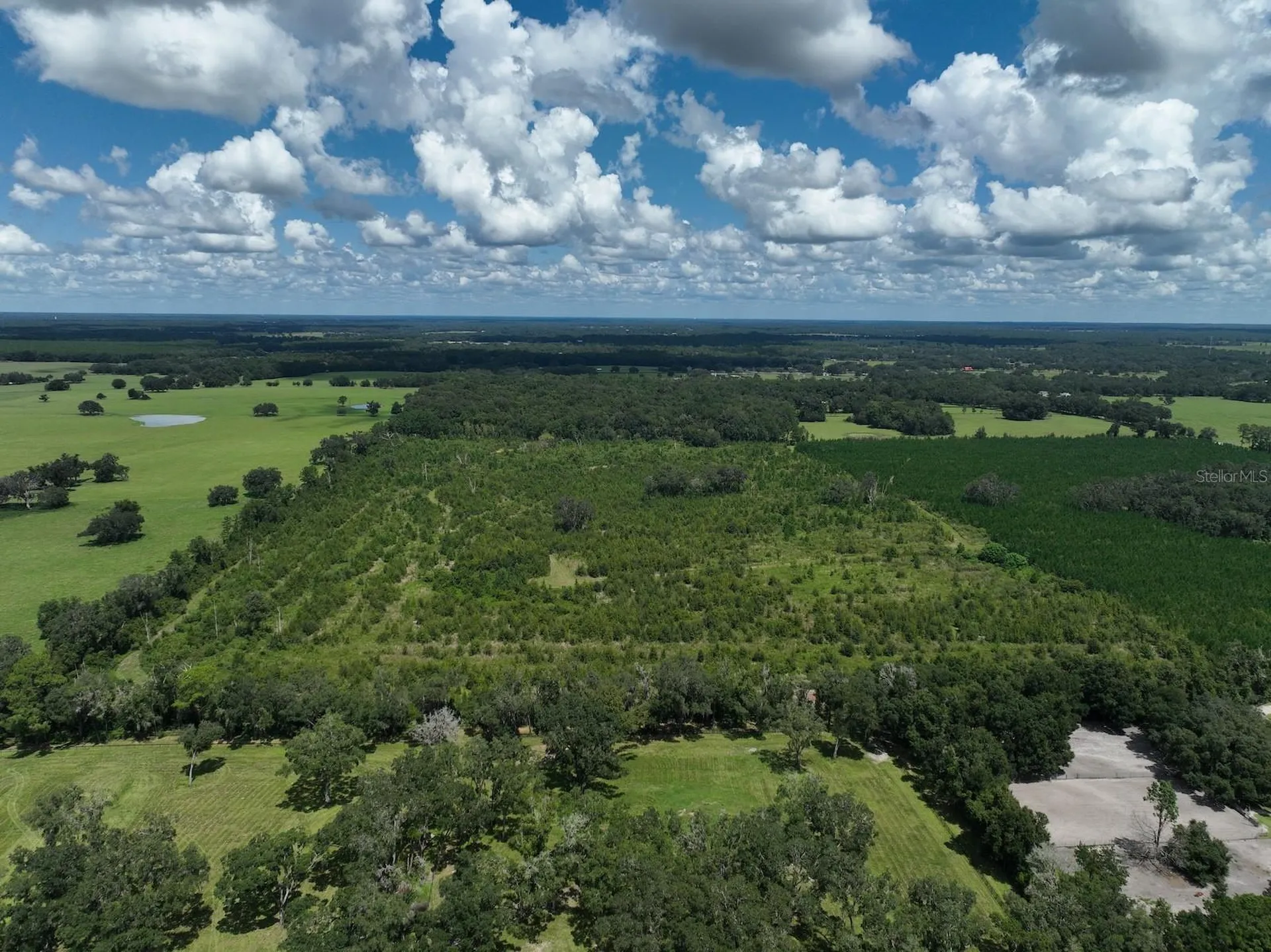 Parcel C NW 160th Avenue Morriston FL 32668