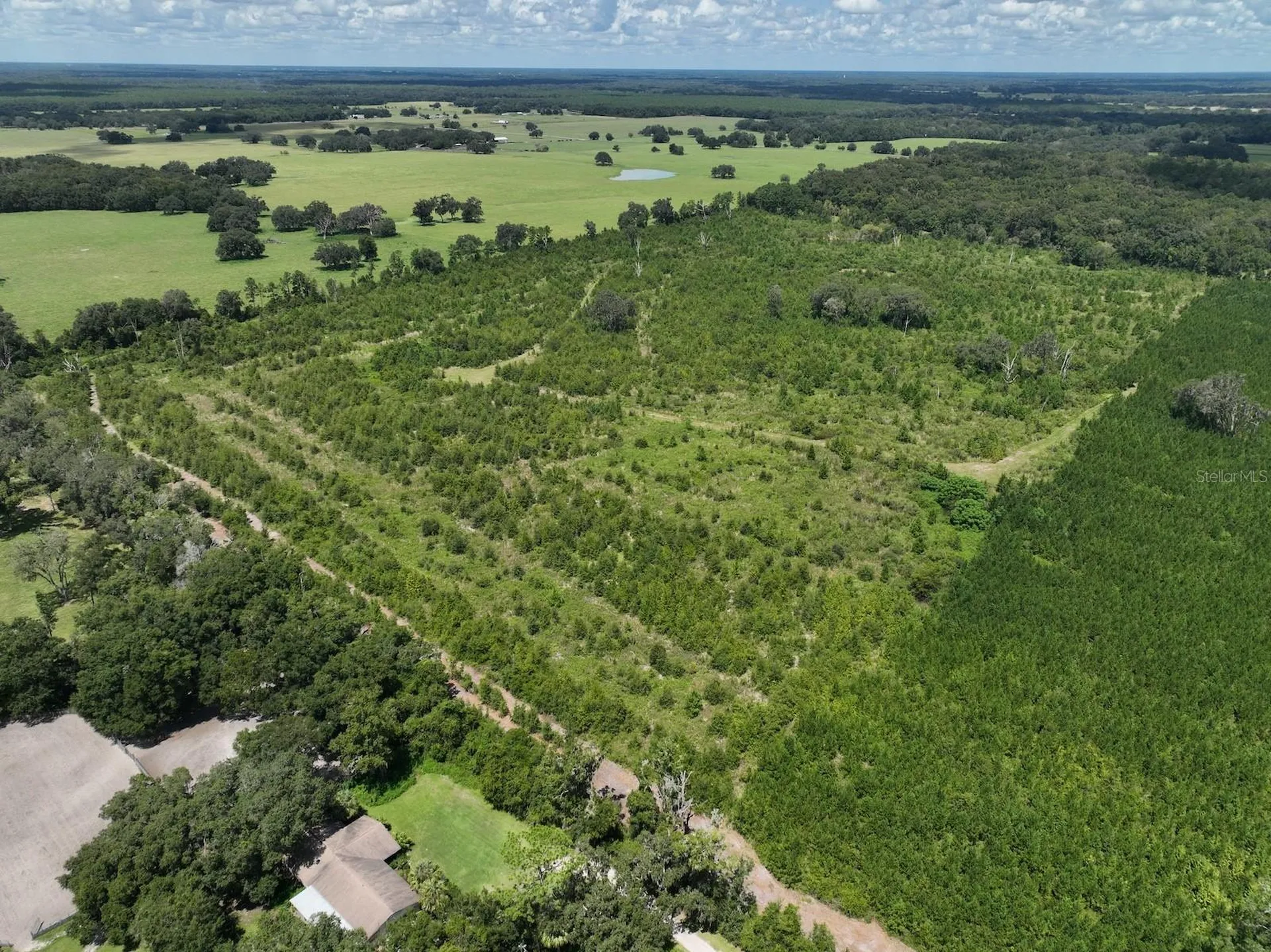 Parcel C NW 160th Avenue Morriston FL 32668