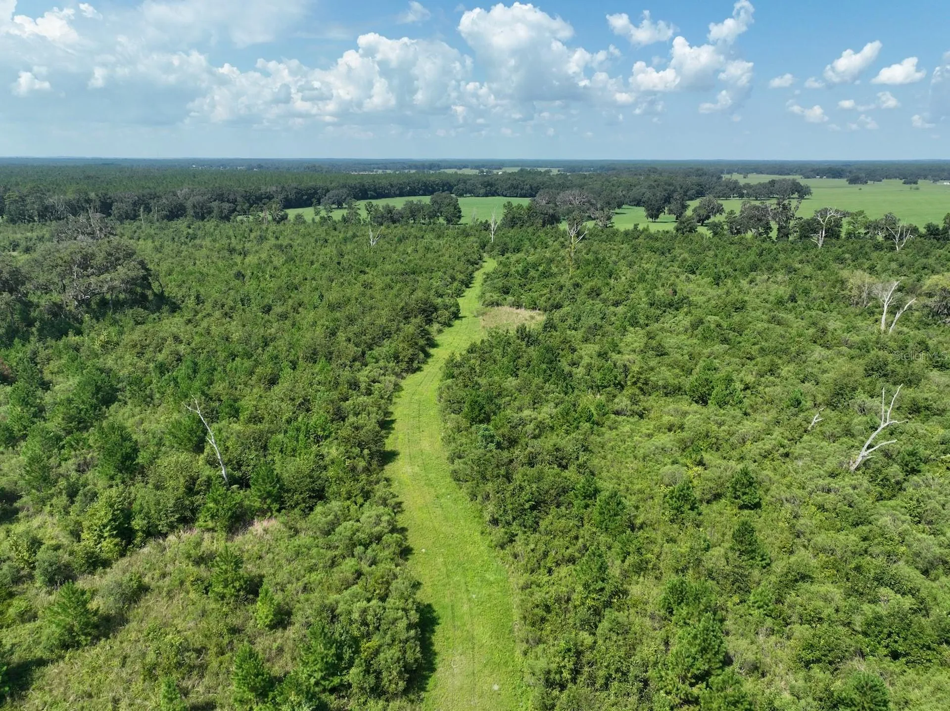 Parcel C NW 160th Avenue Morriston FL 32668