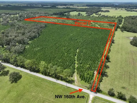 Parcel C NW 160th Avenue Morriston FL 32668