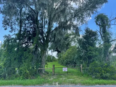 Parcel C NW 160th Avenue Morriston FL 32668