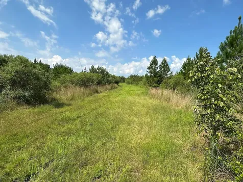 Parcel C NW 160th Avenue Morriston FL 32668