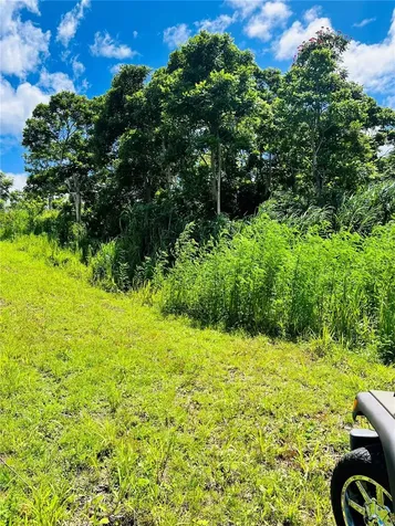 857 Carretera Carolina PR 00987