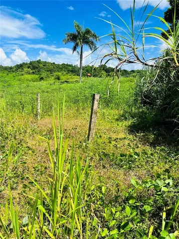 857 Carretera Carolina PR 00987
