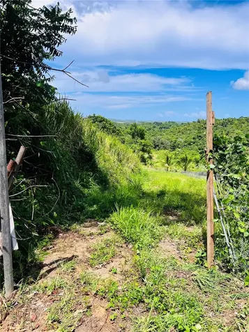 857 Carretera Carolina PR 00987