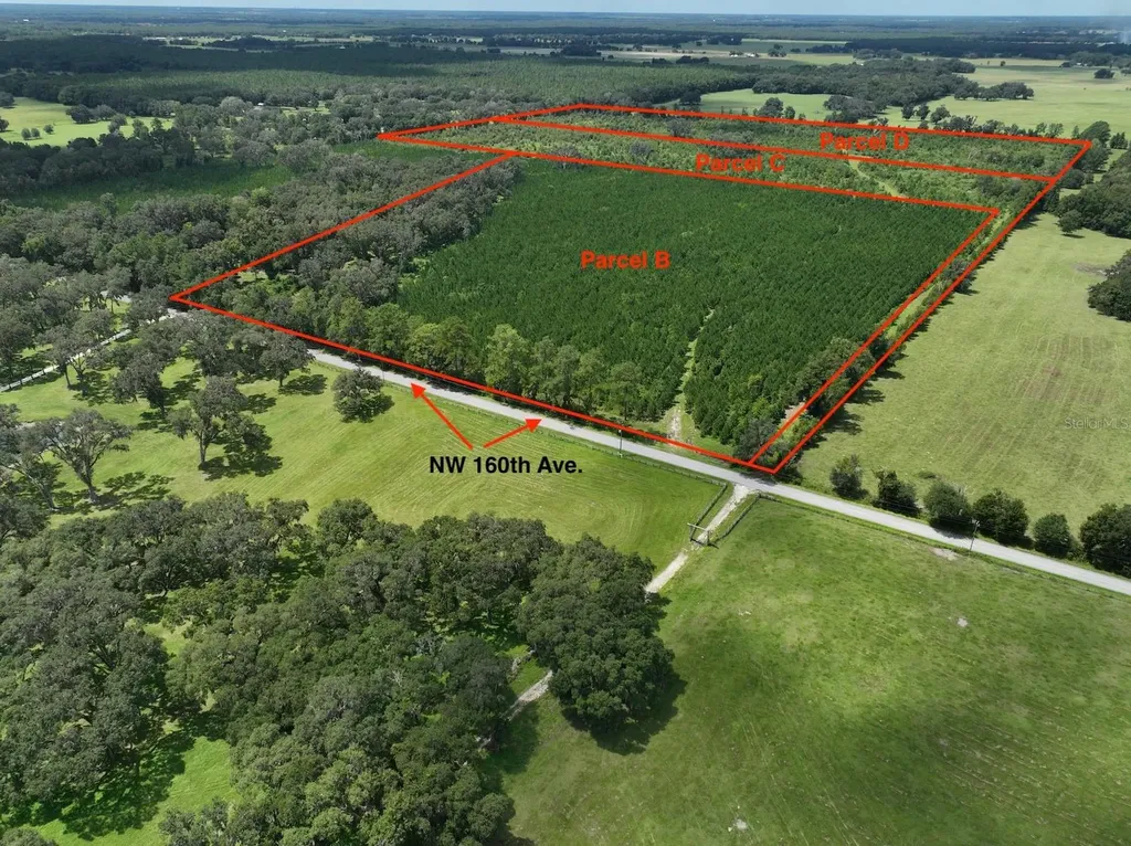 Morriston FL 32668