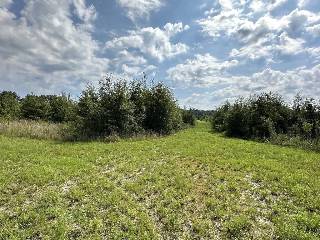 Morriston FL 32668