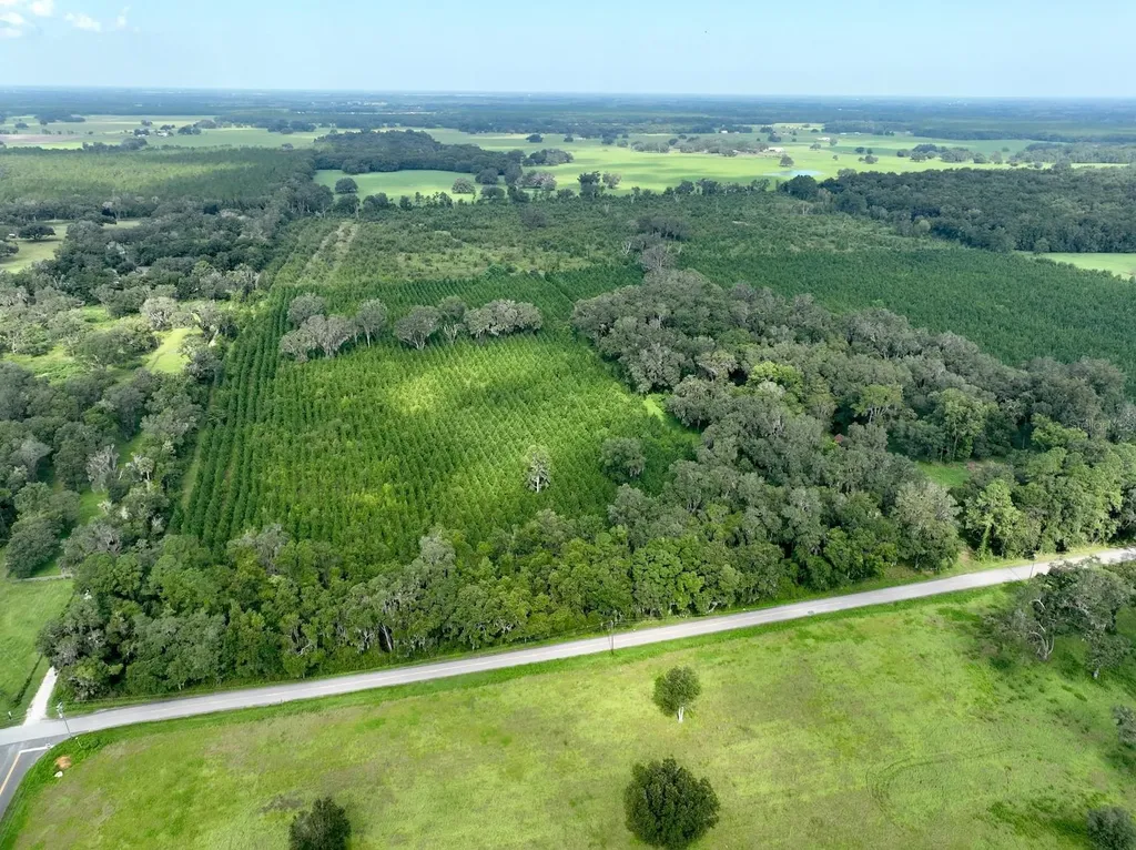 Morriston FL 32668
