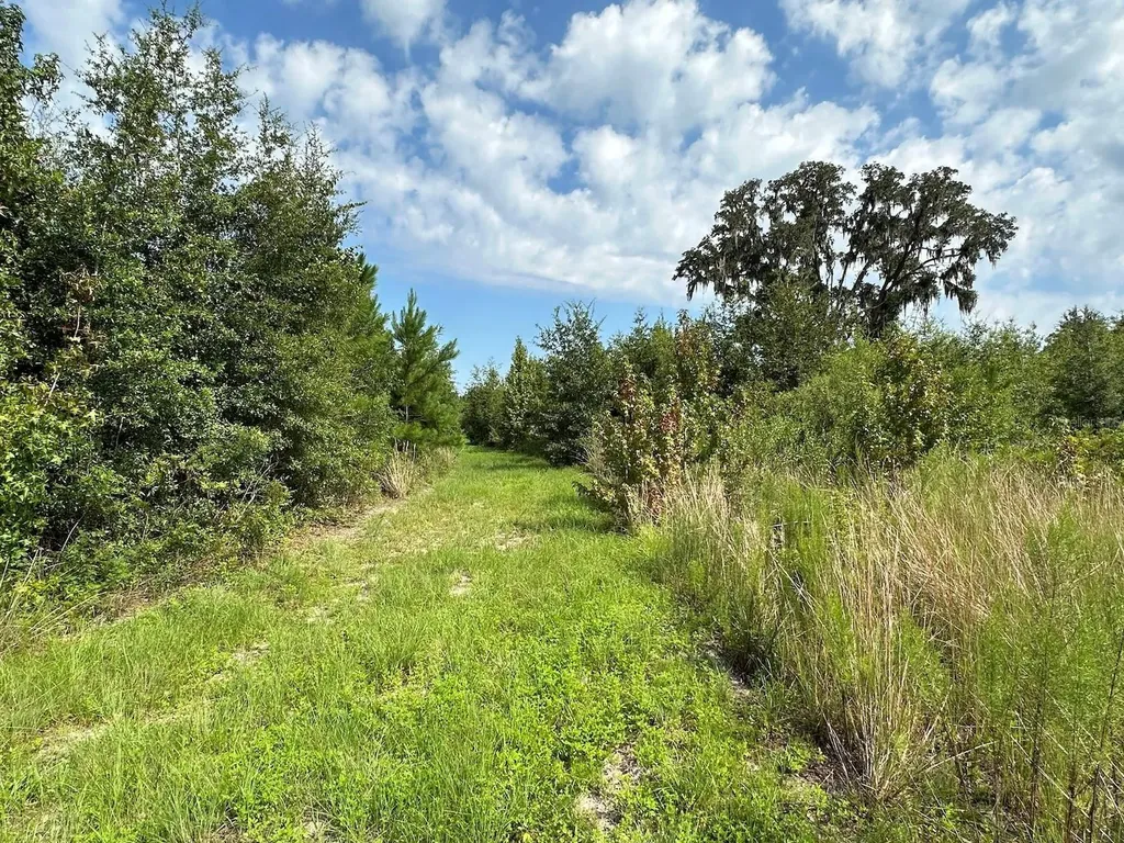 Morriston FL 32668