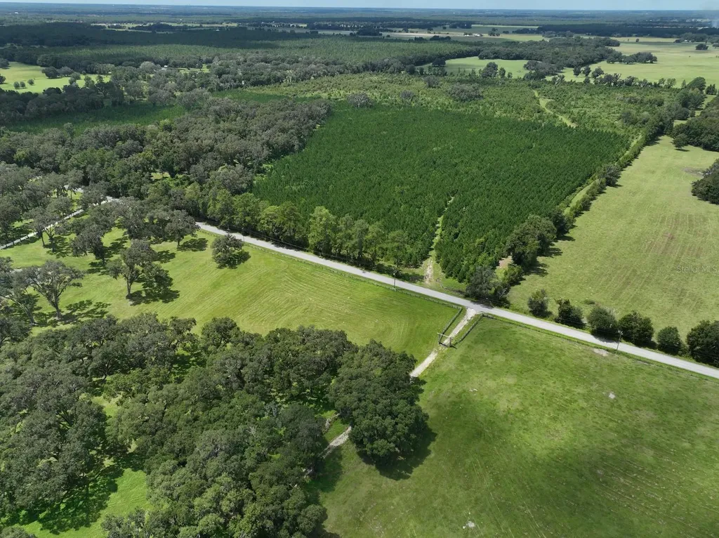 Morriston FL 32668